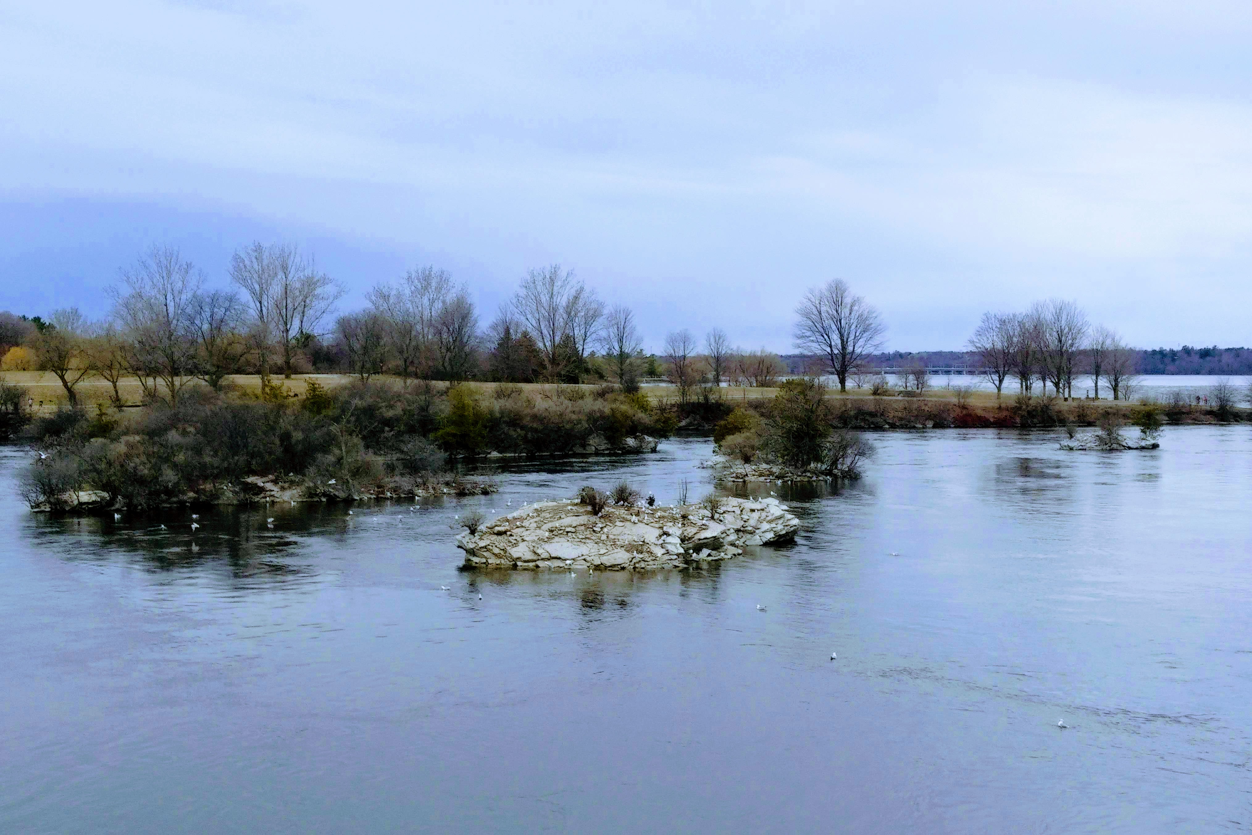 img_20200424_1428557