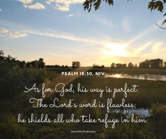 Psalm 18-30