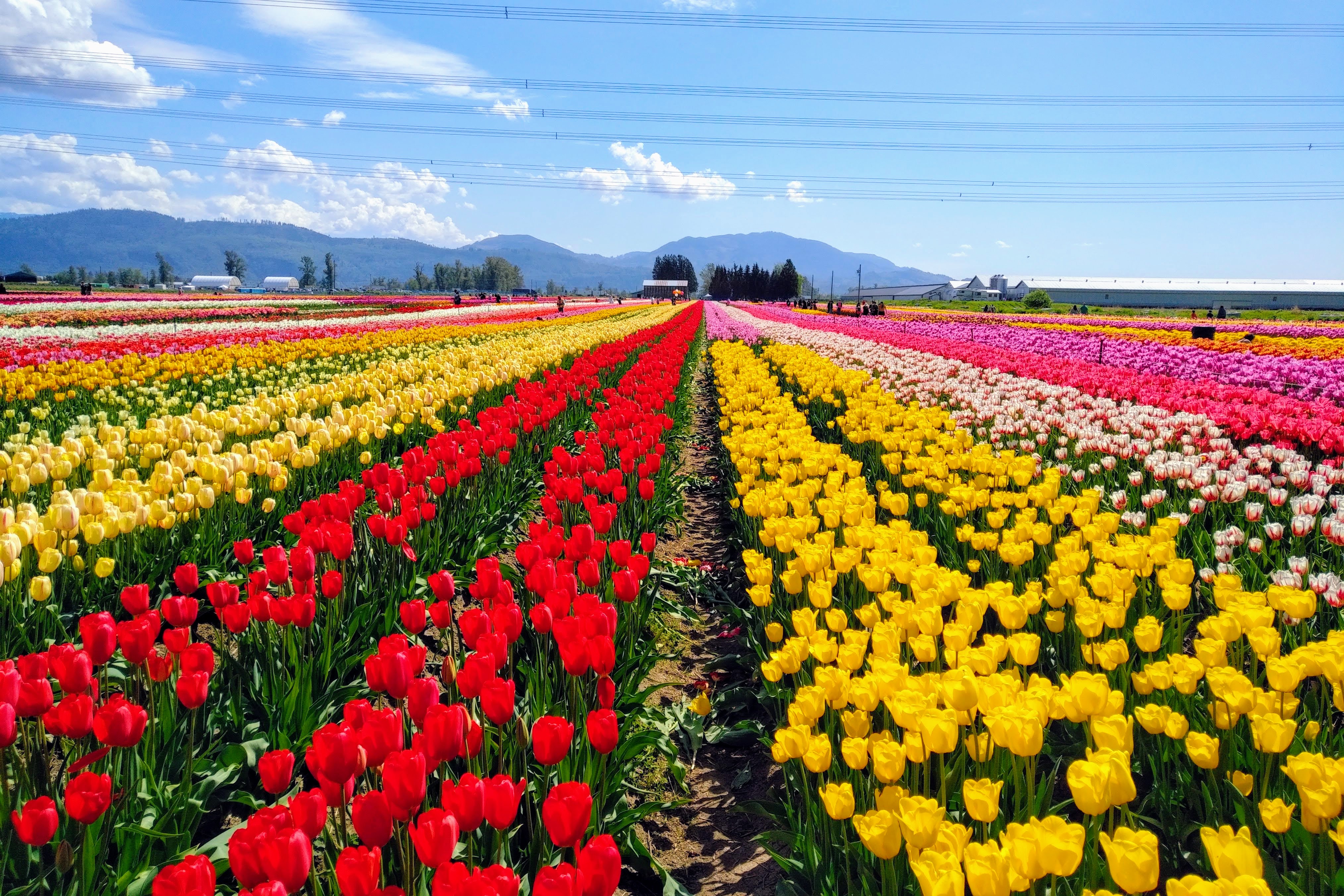 img_20190501_1433142-effects