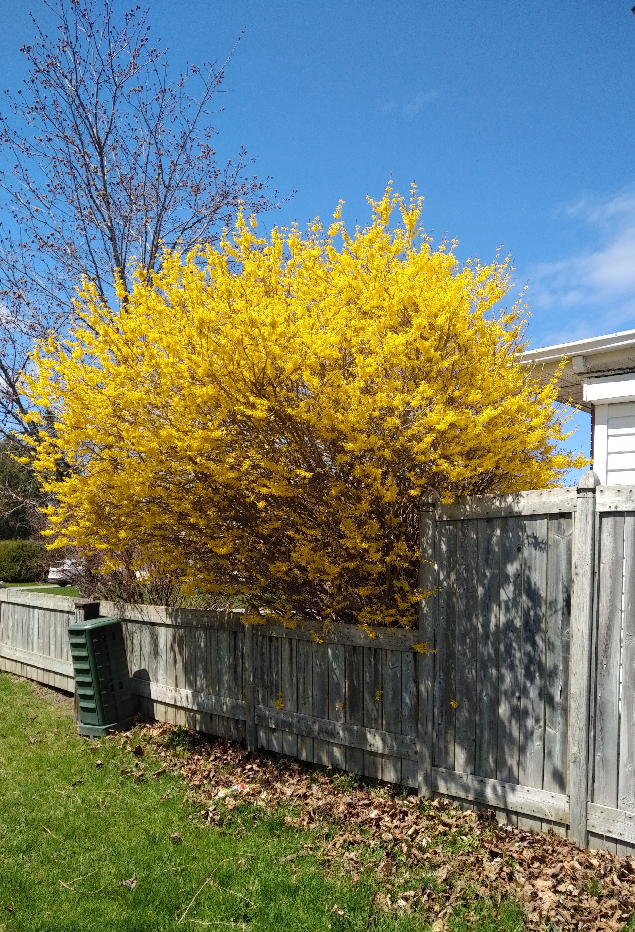 img_20200505_1258058