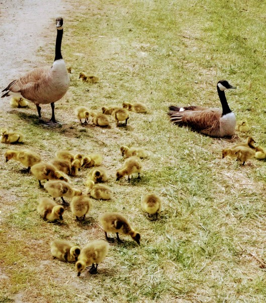 img_20200511_1322371