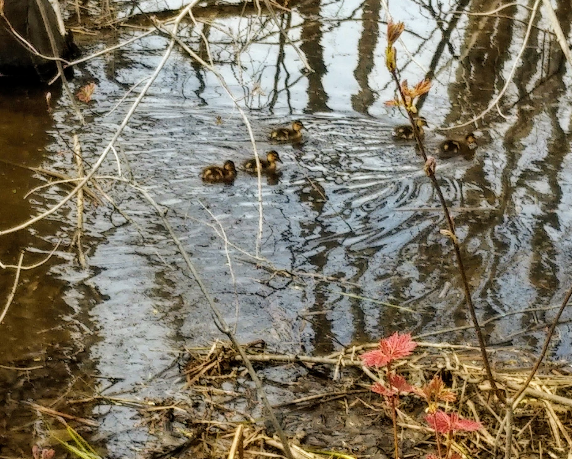 img_20200514_1447547