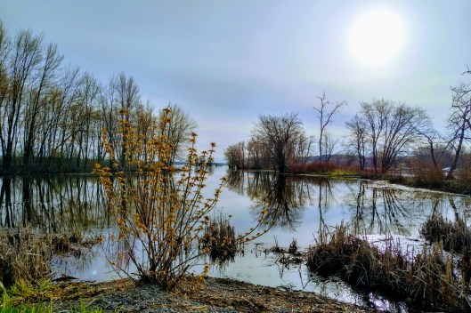 img_20200517_0730080