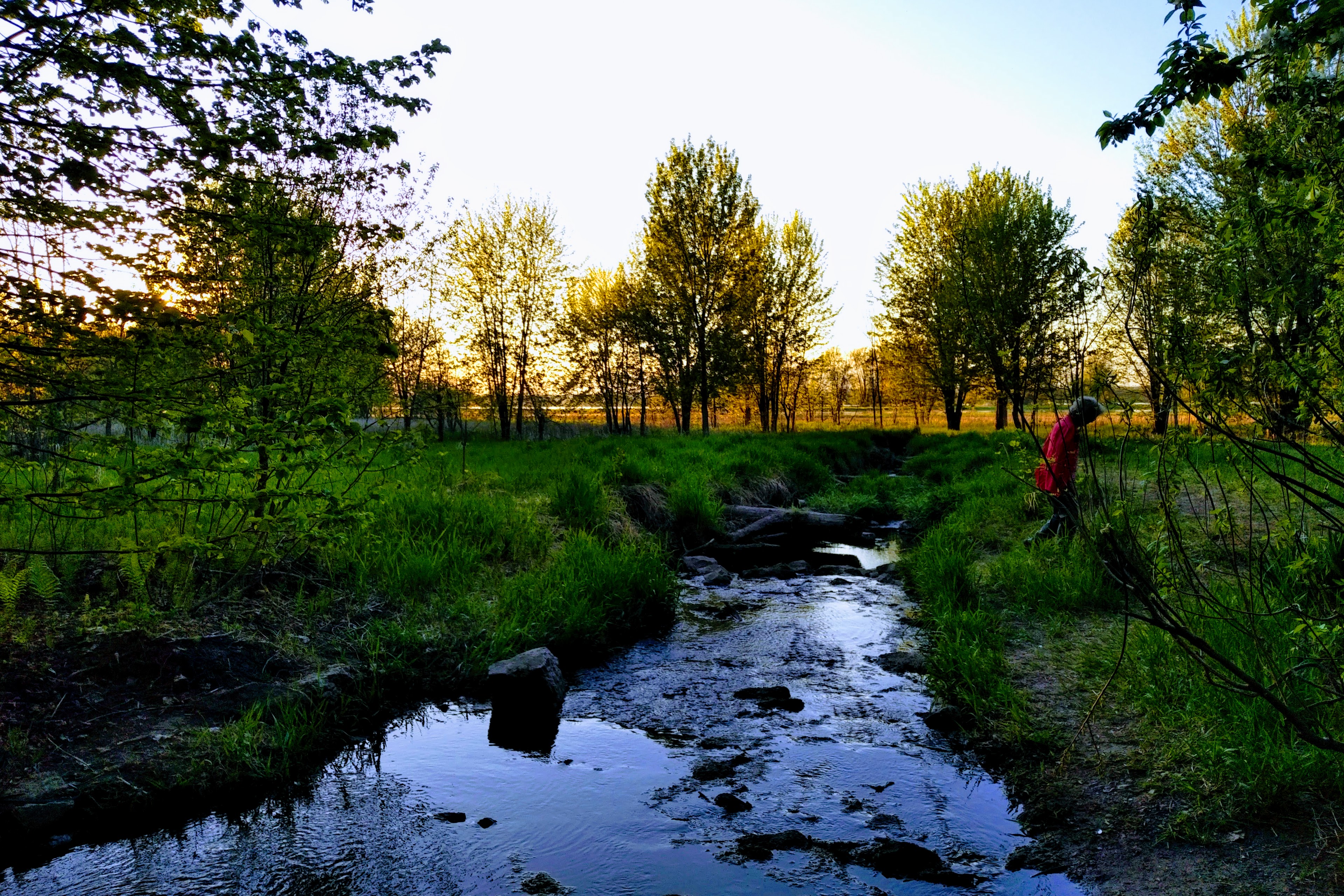 img_20200522_1956144-1