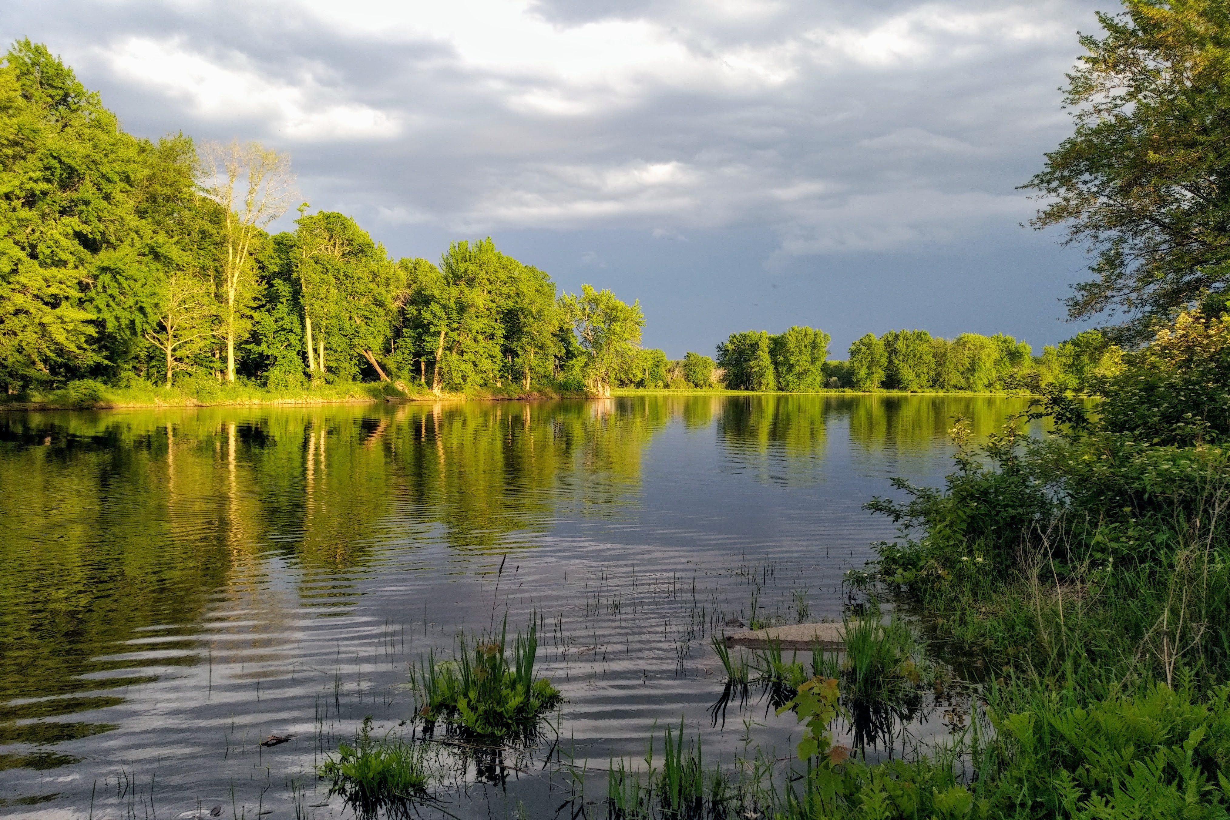 img_20200605_1937161