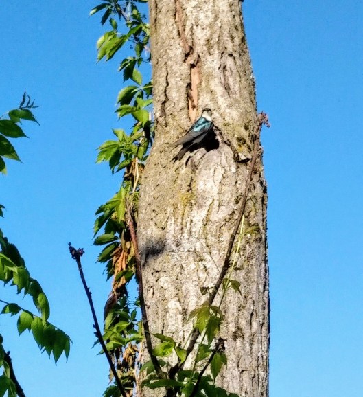 img_20200621_0832487-1