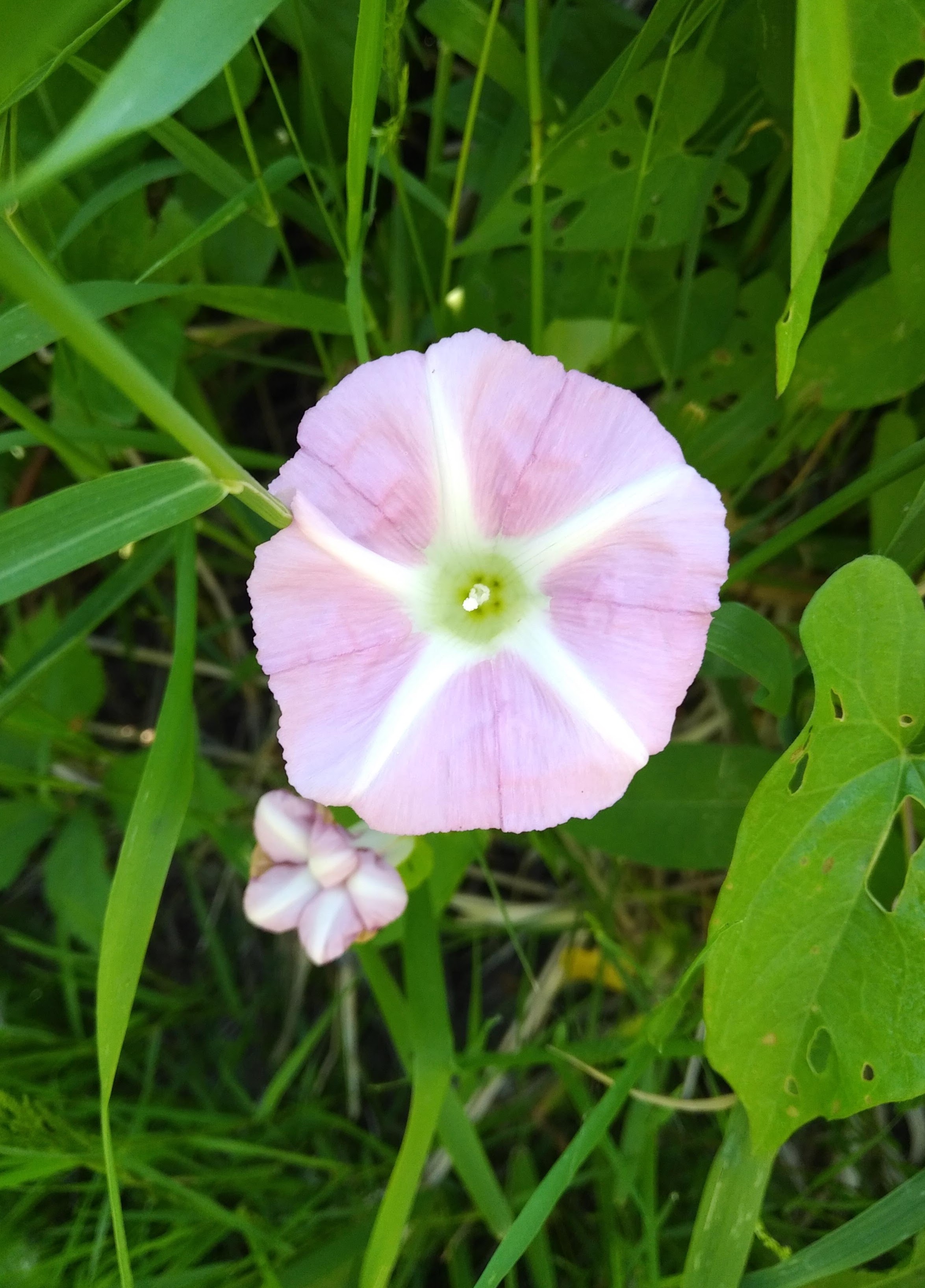 img_20200621_0853233