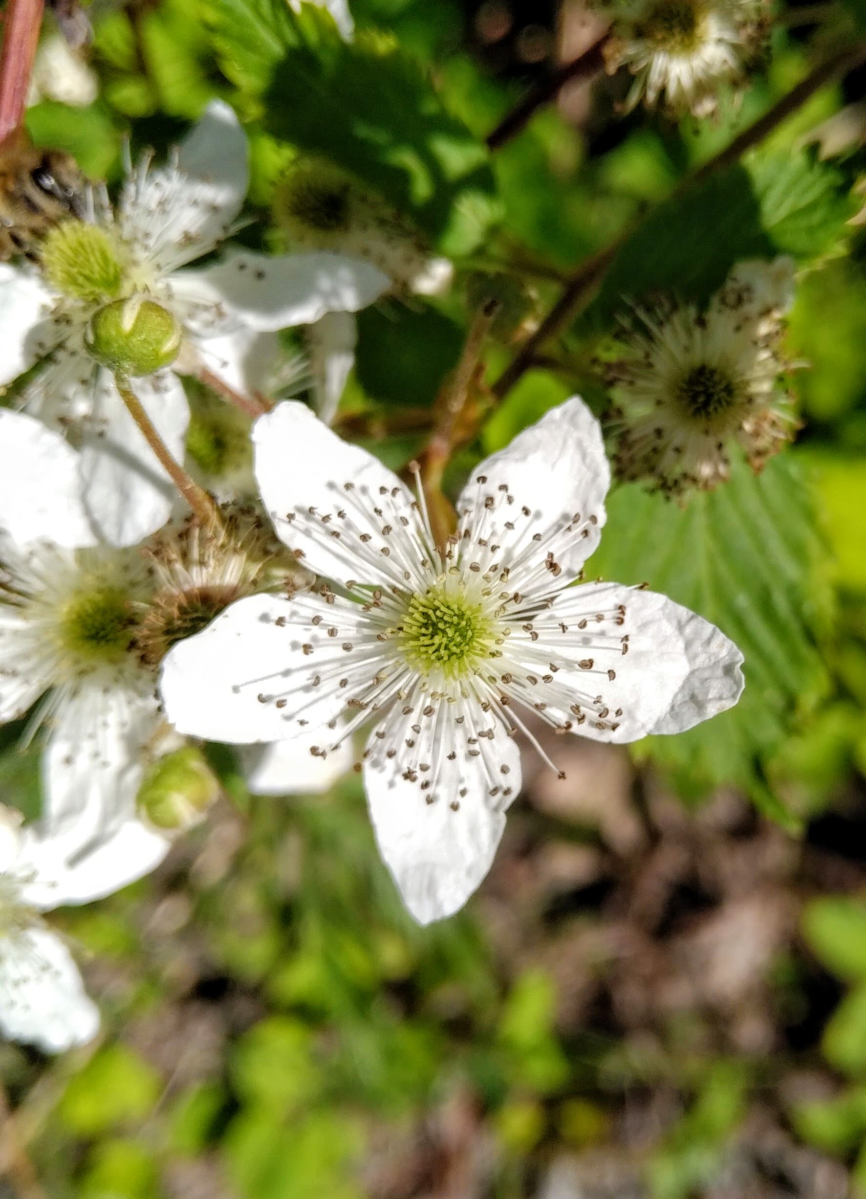 img_20200614_1520395