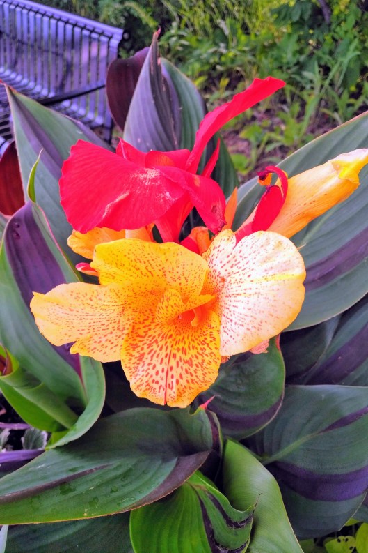 img_20200626_0755380-effects