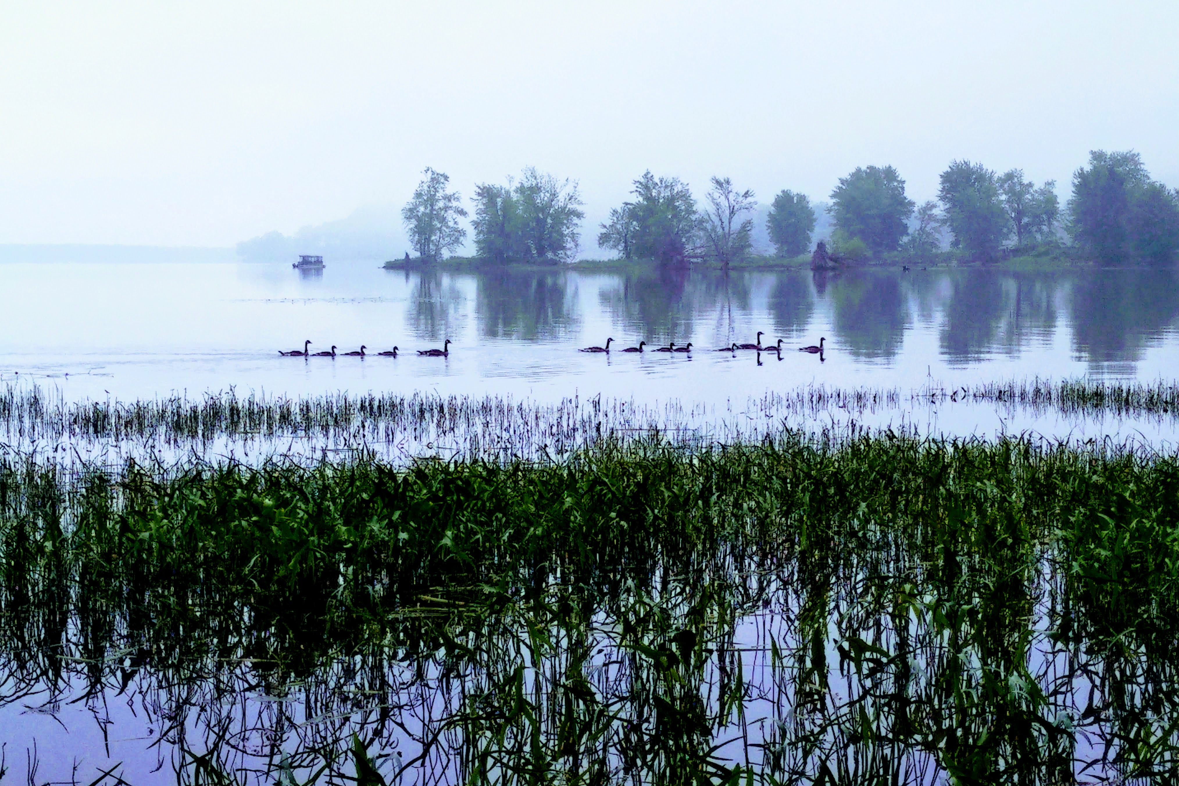 img_20200628_0723161