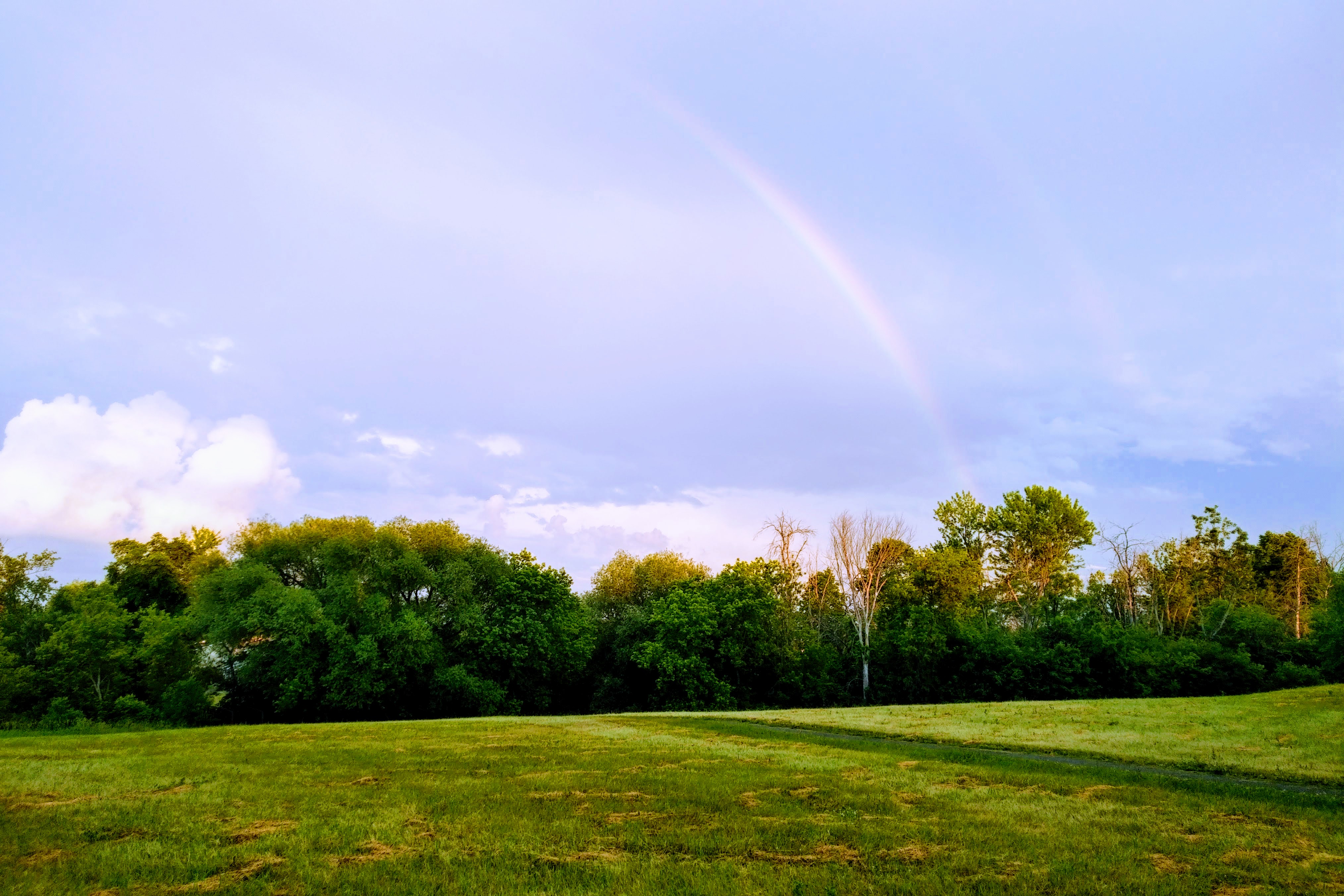 img_20200628_2034283