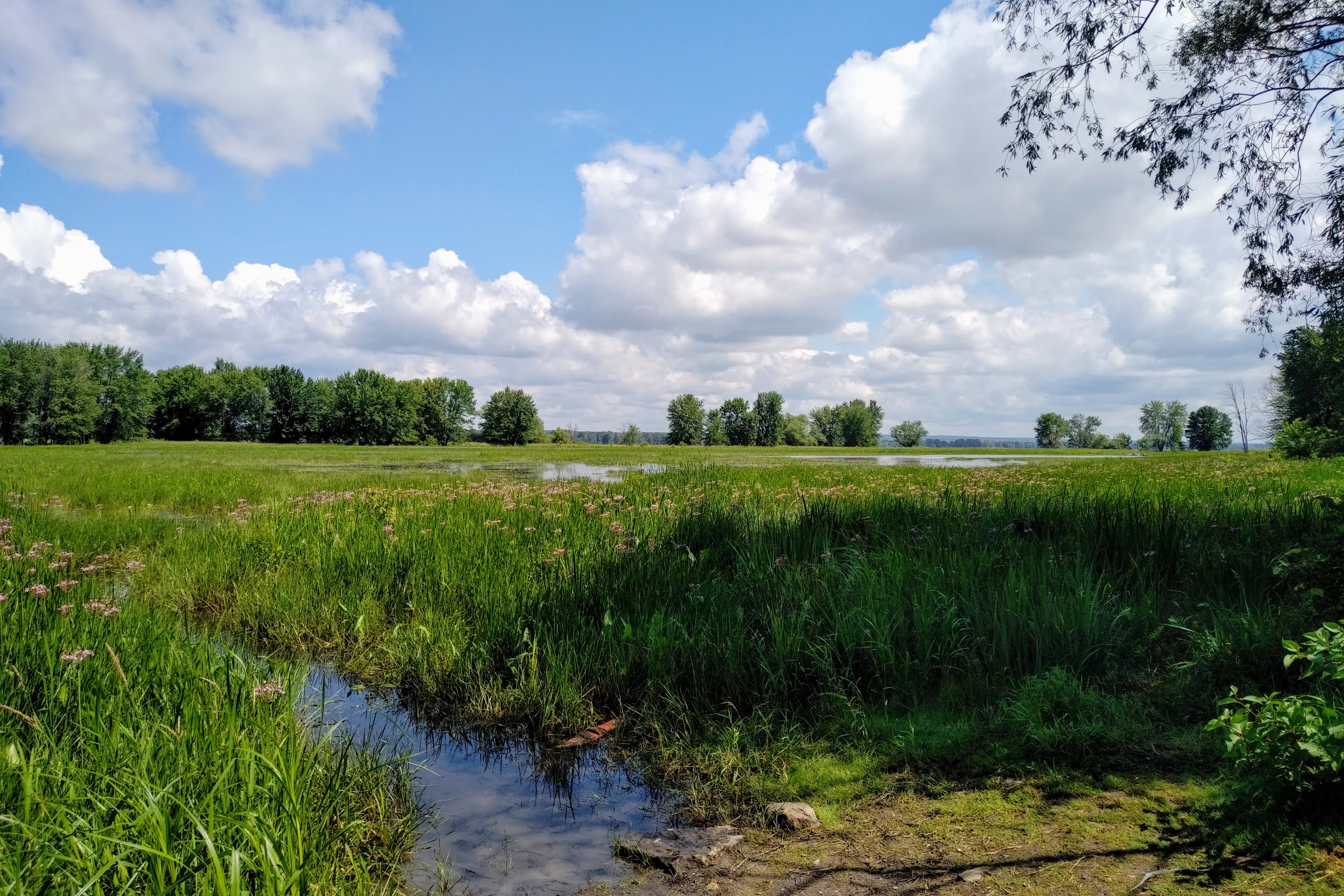 img_20200629_1118589-1