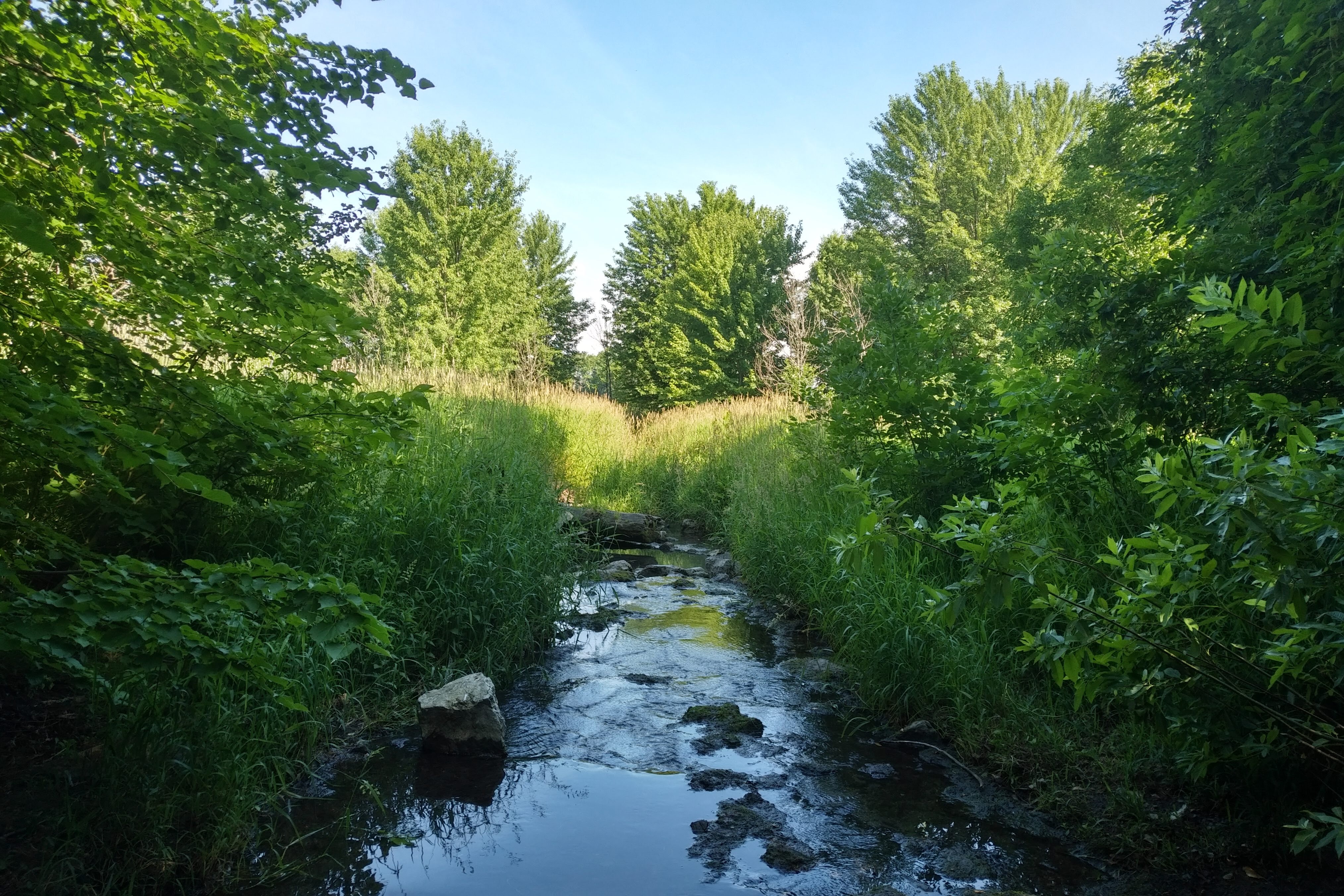 img_20200707_0928193