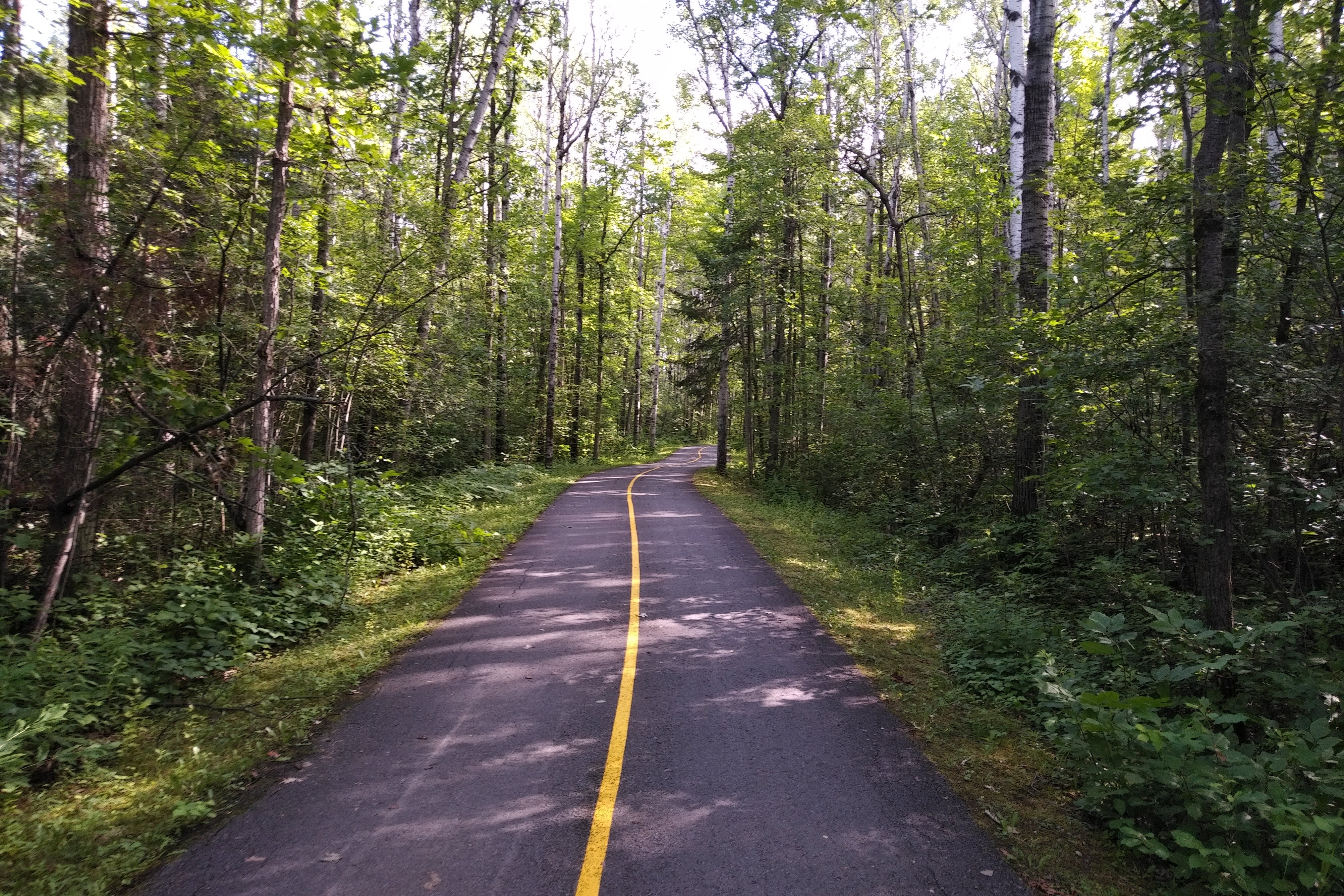 img_20200713_0856367