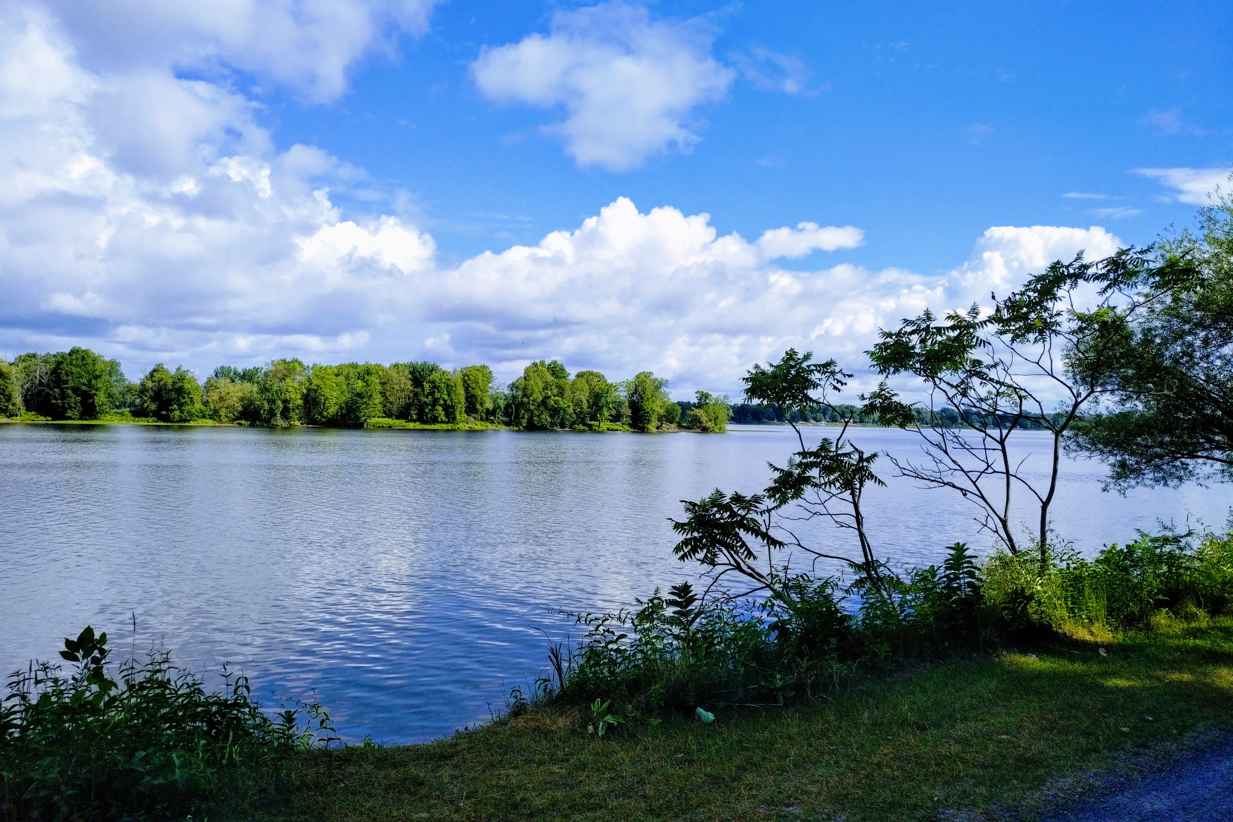 img_20200713_0943122