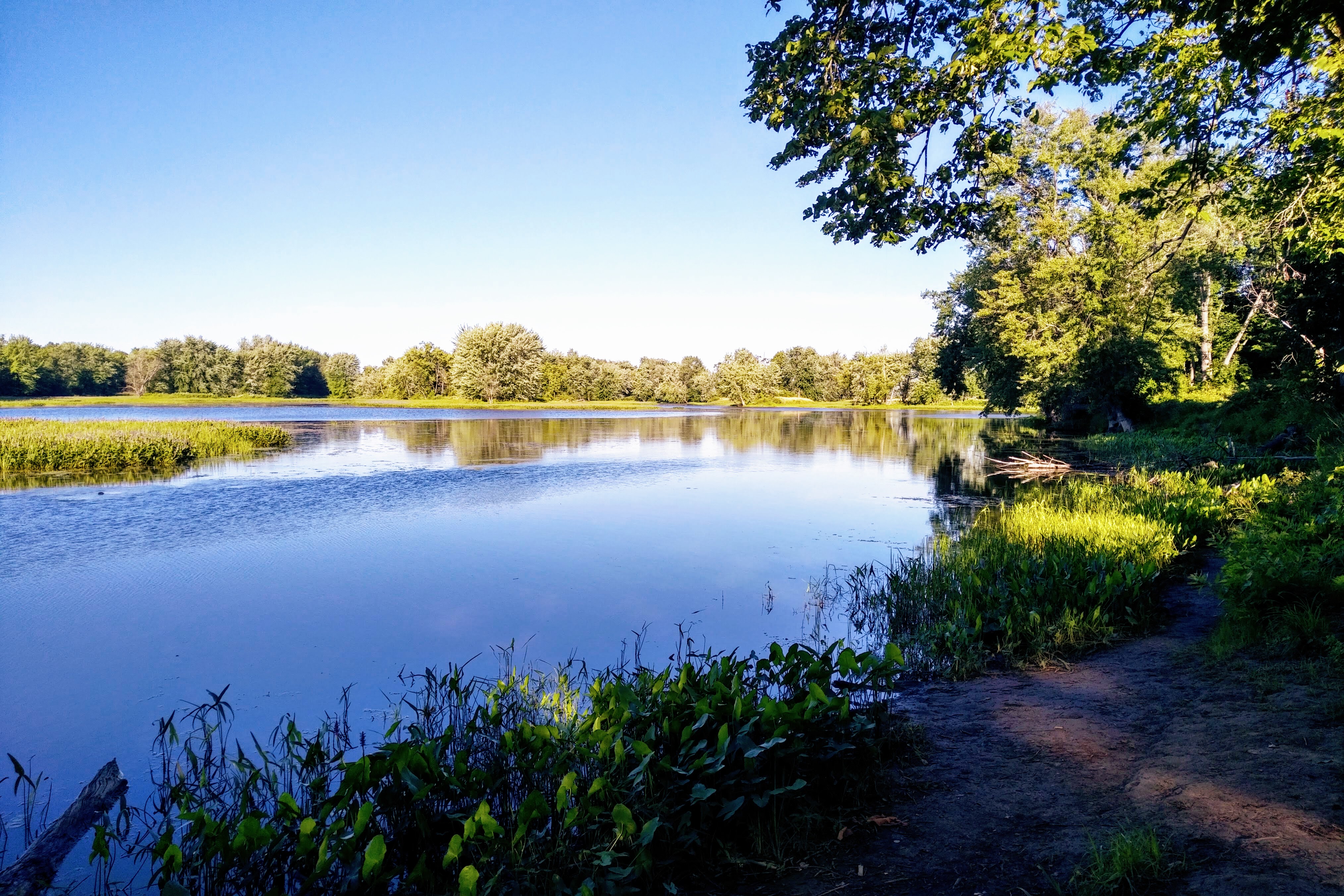 img_20200715_0755432