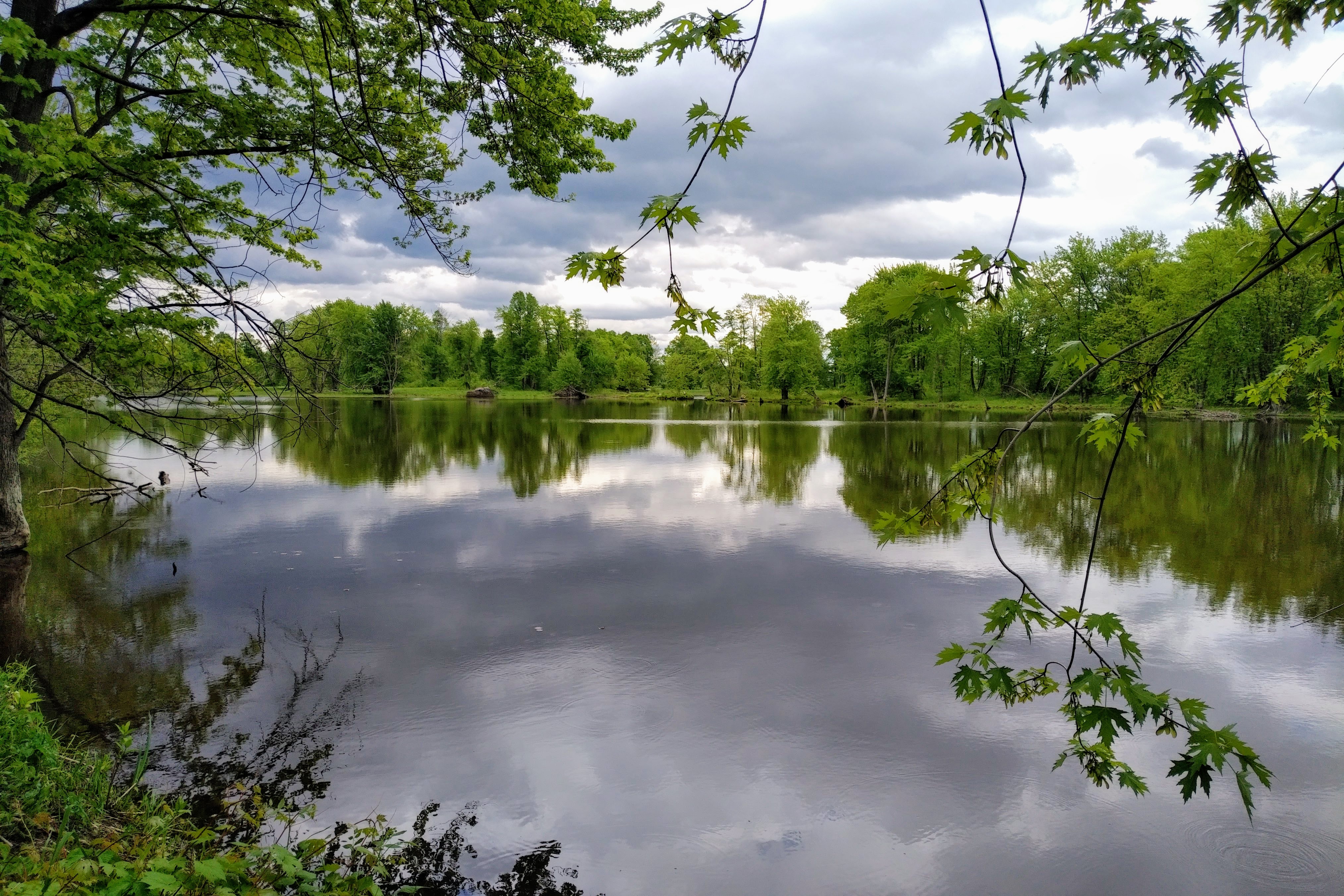 img_20200530_1451223