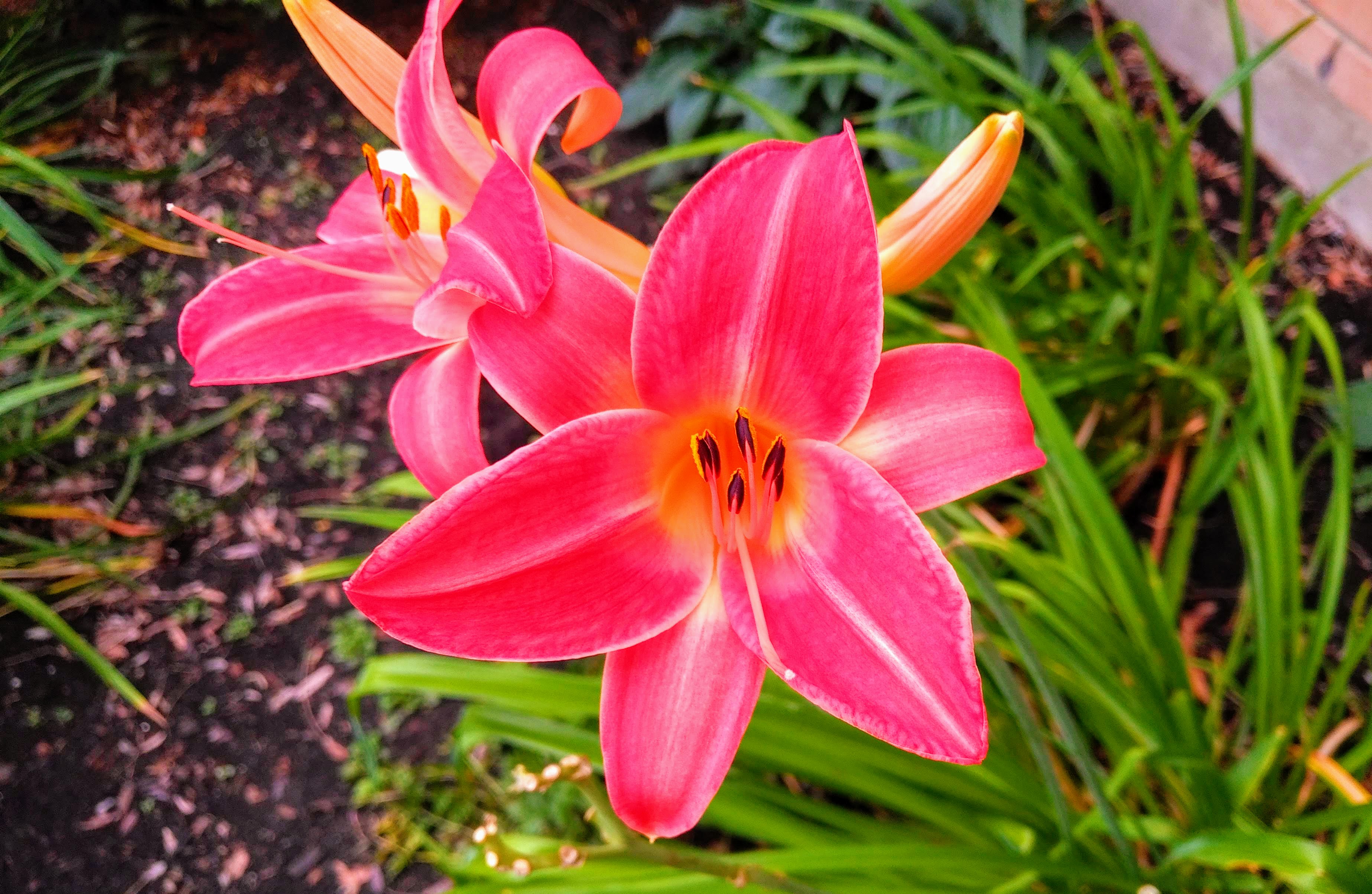 img_20200804_0916554-effects-1