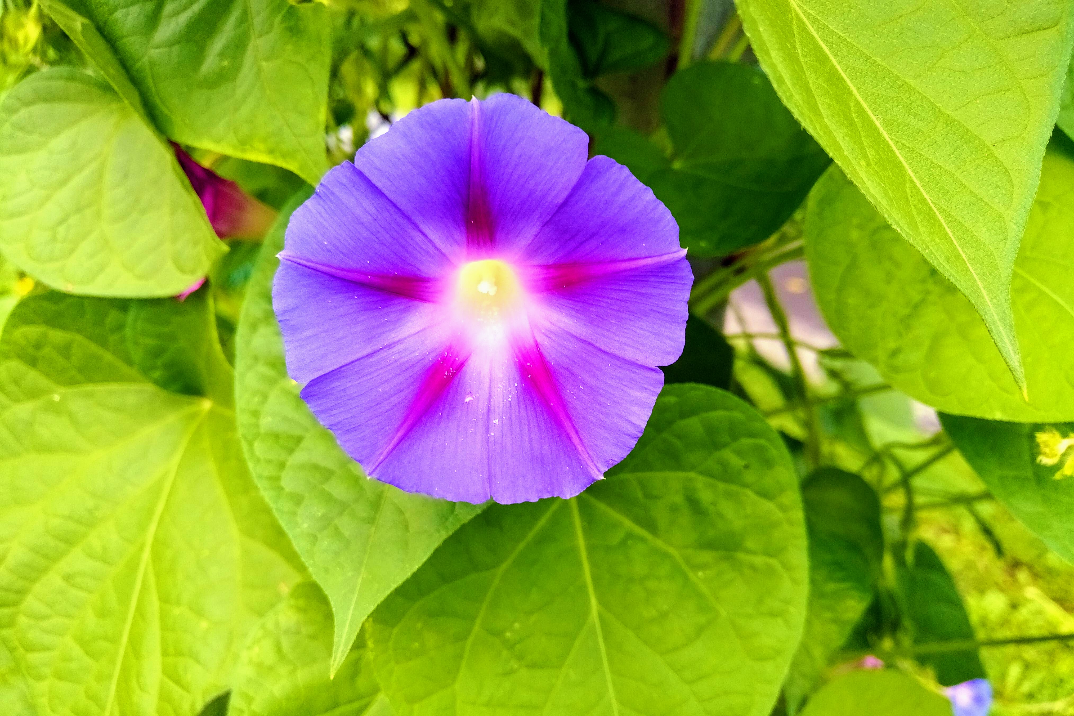 img_20200821_0913005-effects