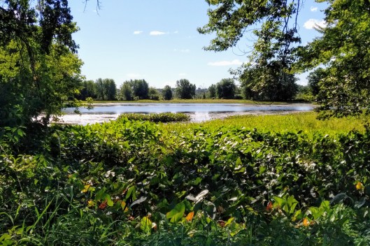 img_20200826_1015599