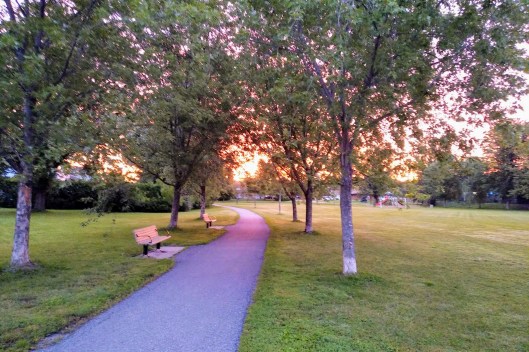 img_20200827_0611303