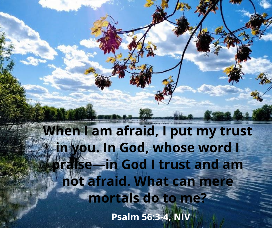 White Border with Photo Greeting Birthday Facebook Post