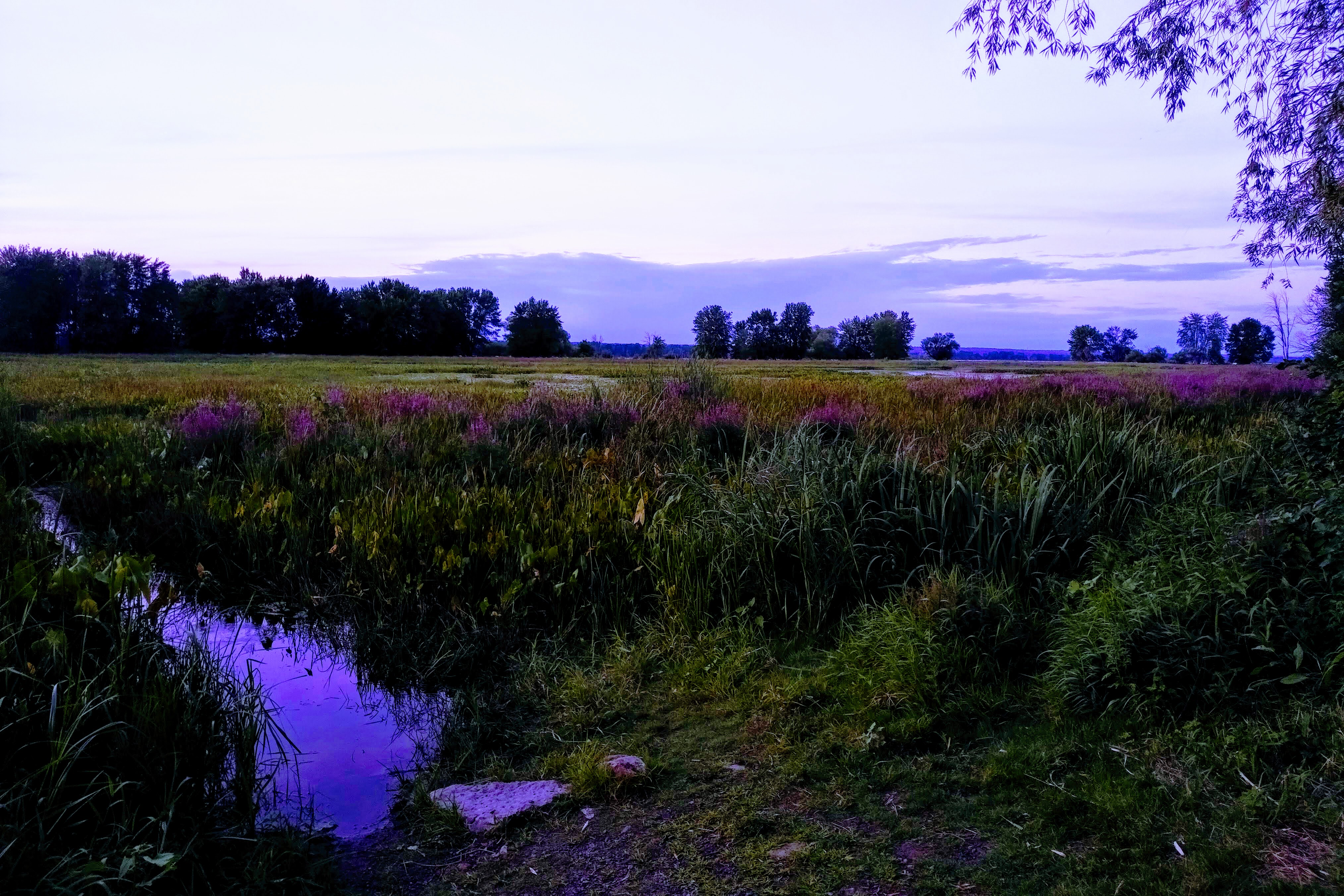 img_20200822_1955490