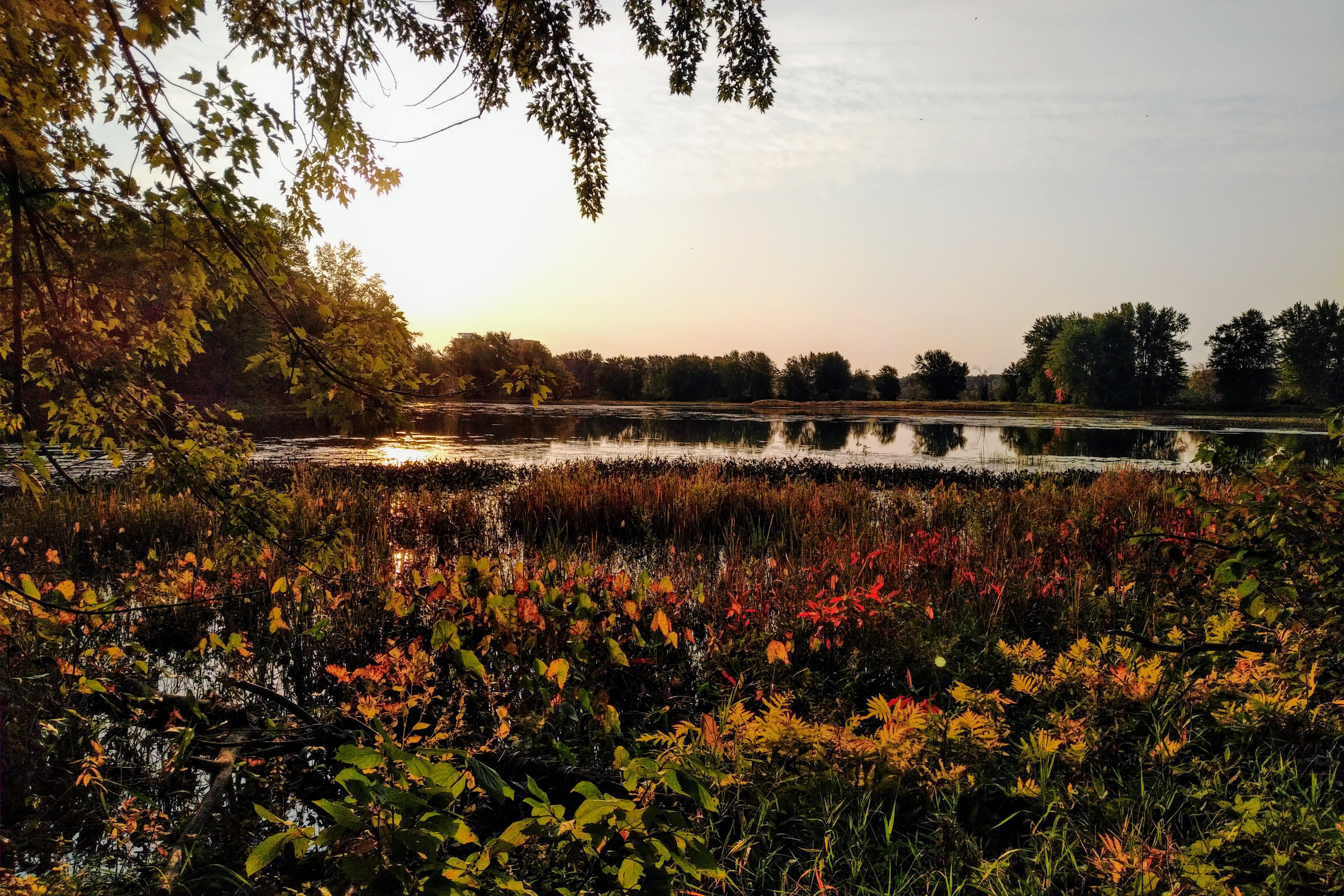 IMG_20200926_0751282_3 (1)