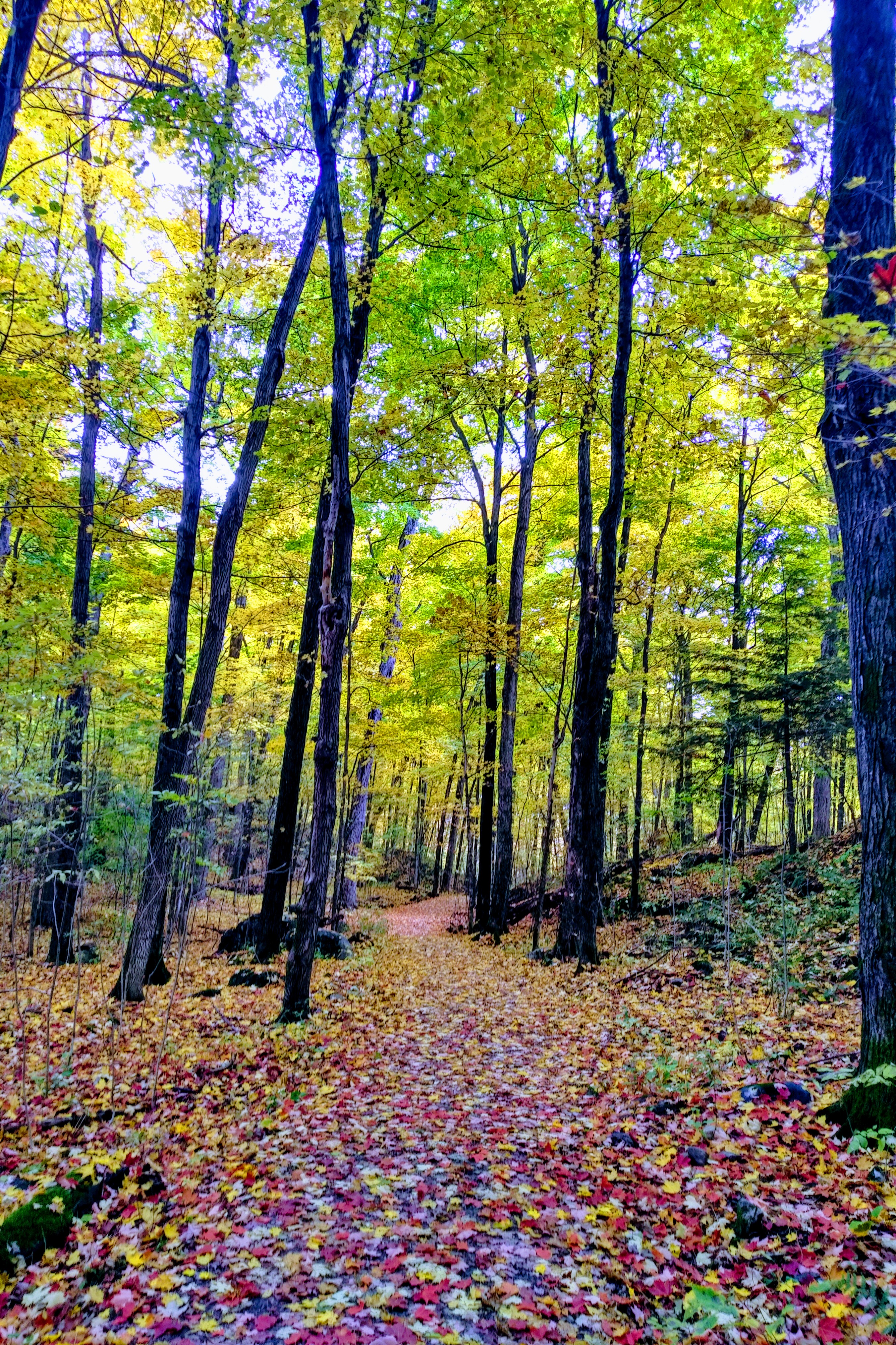 IMG_20181010_1434227