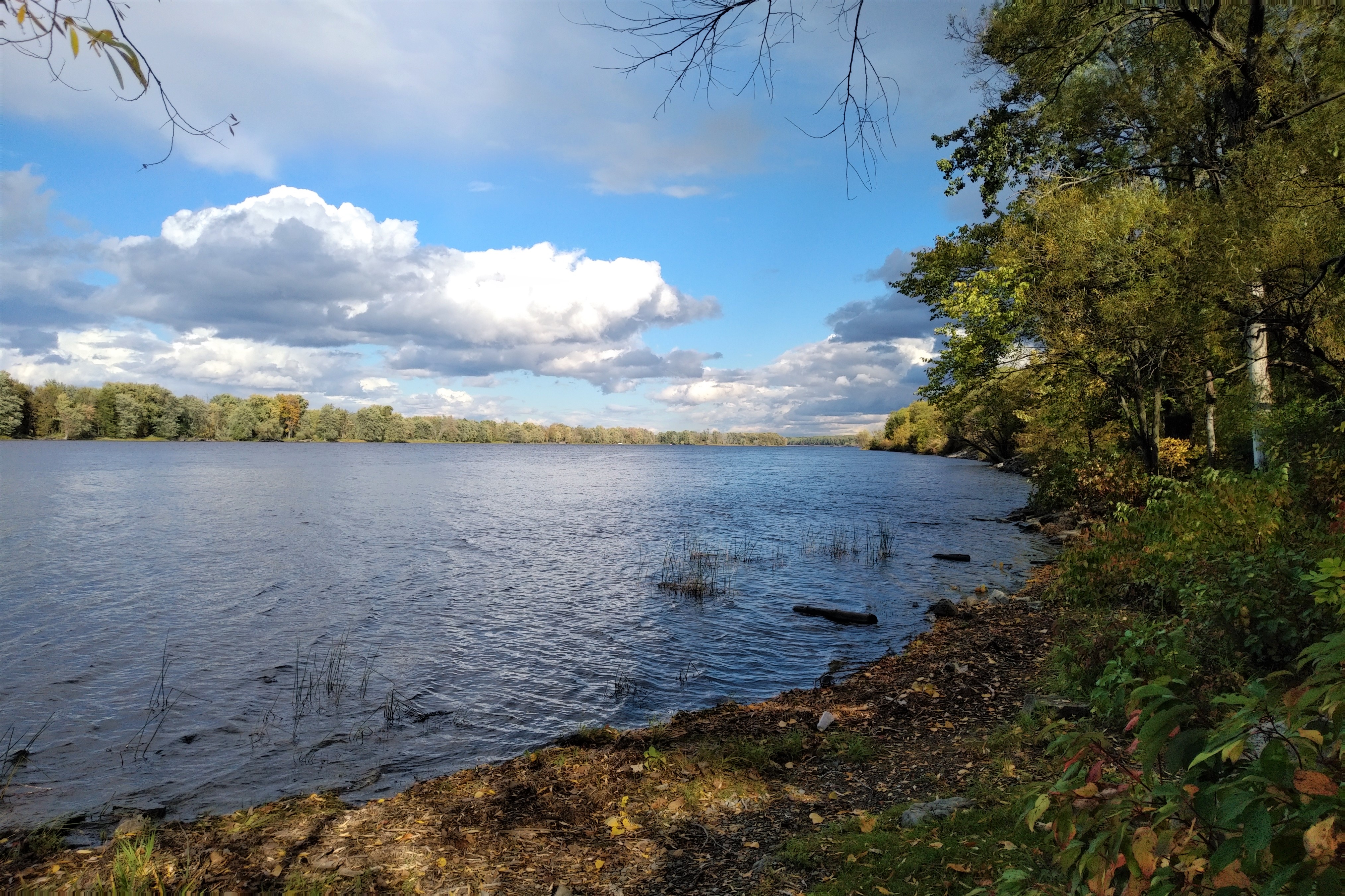 IMG_20201001_1556388