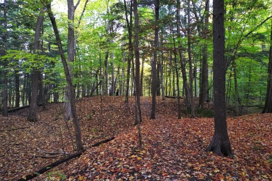 IMG_20201004_1332209