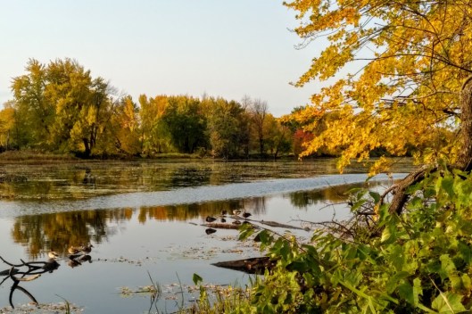 IMG_20201010_0851187