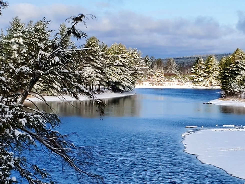 2020-11-23 L Kranz Bonnechere River