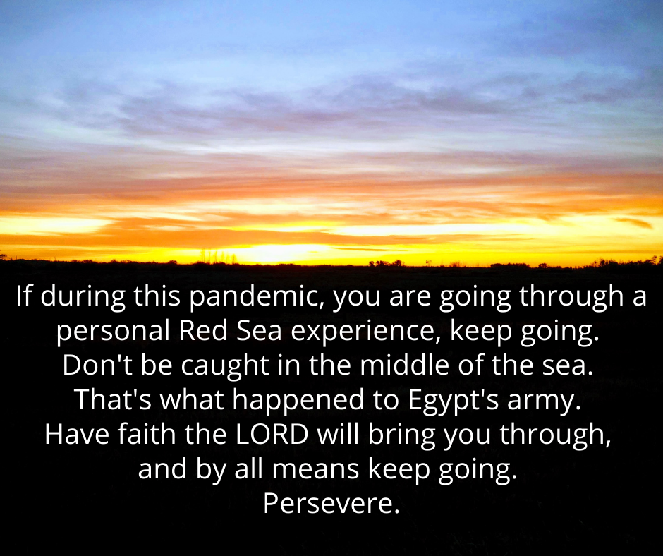 365 Persevere Psalm 77