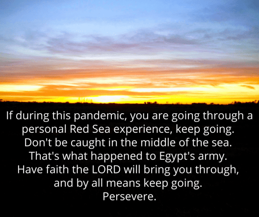 365 Persevere Psalm 77