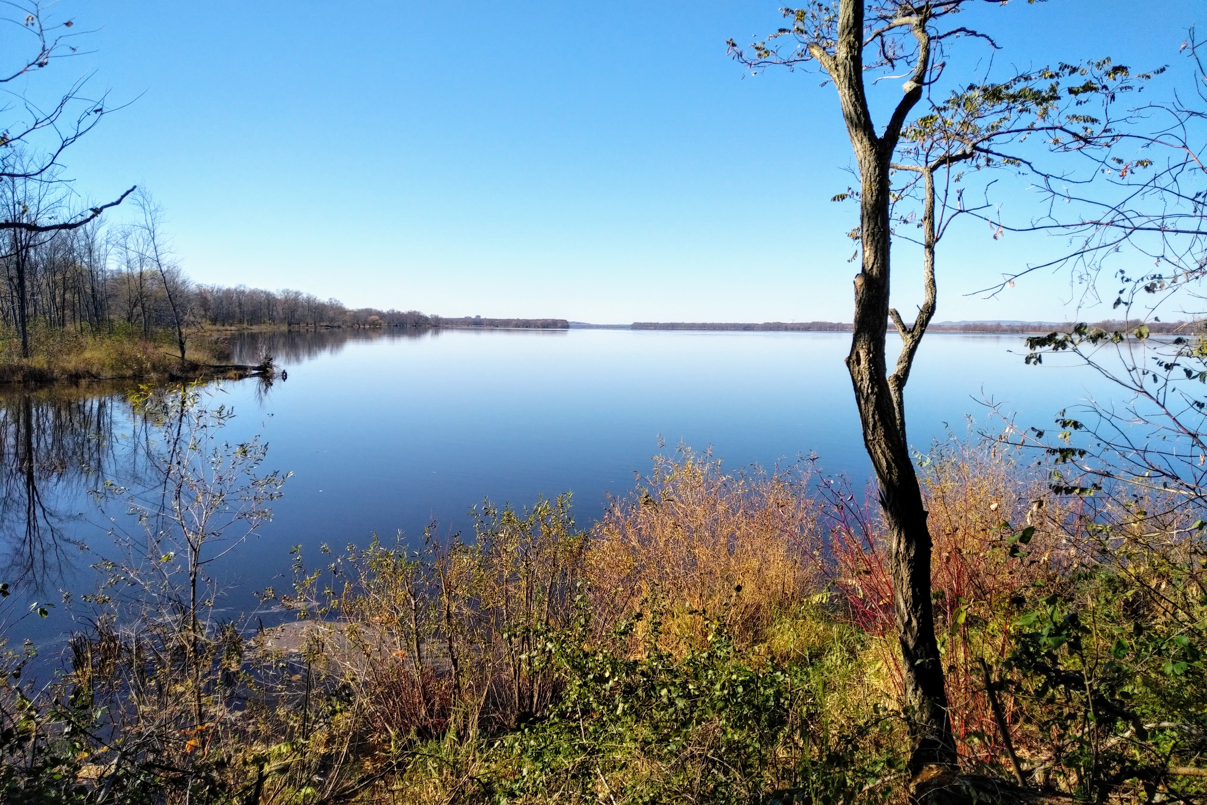 img_20201031_1113466