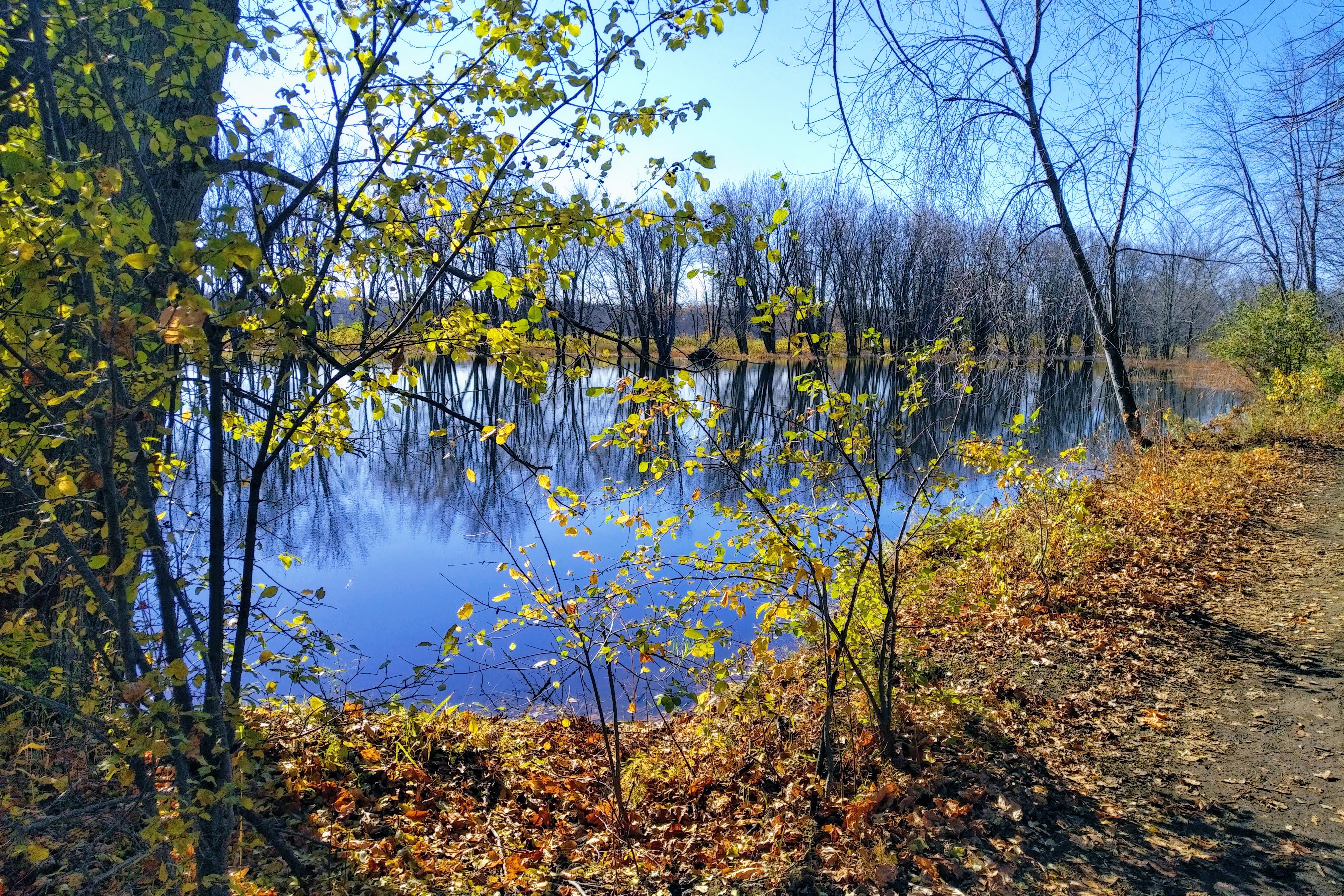 img_20201031_1132518-1