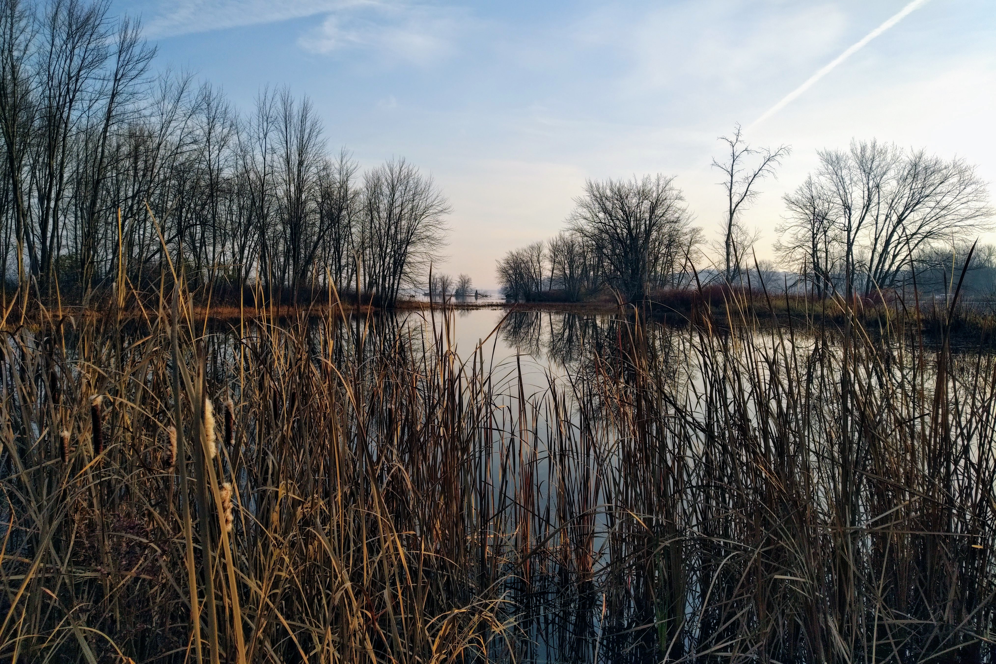 img_20201107_0738122