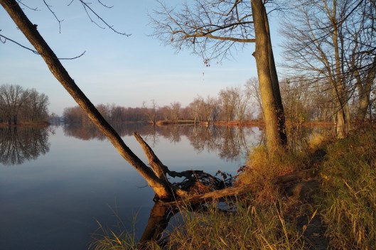 img_20201107_0746533