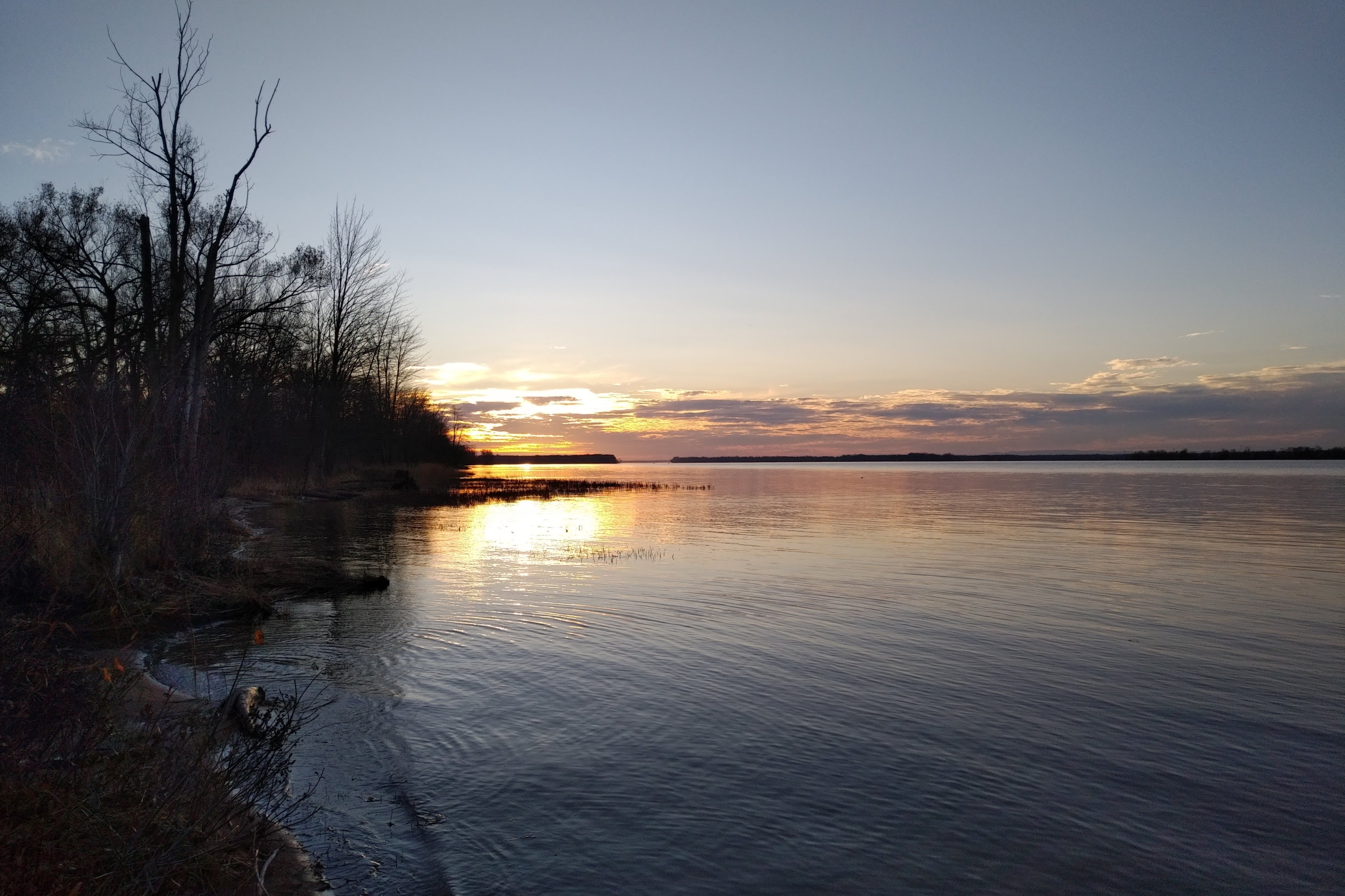 img_20201109_1611160