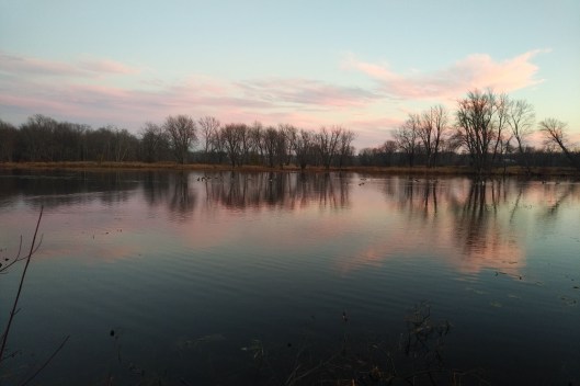 img_20201109_1646374