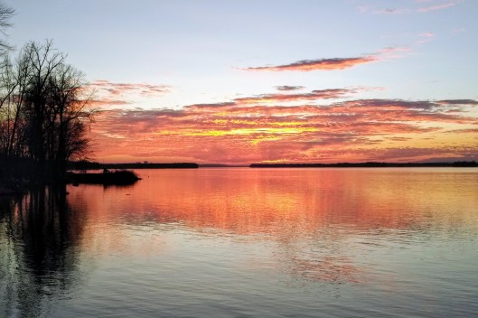 img_20201109_1649115-1