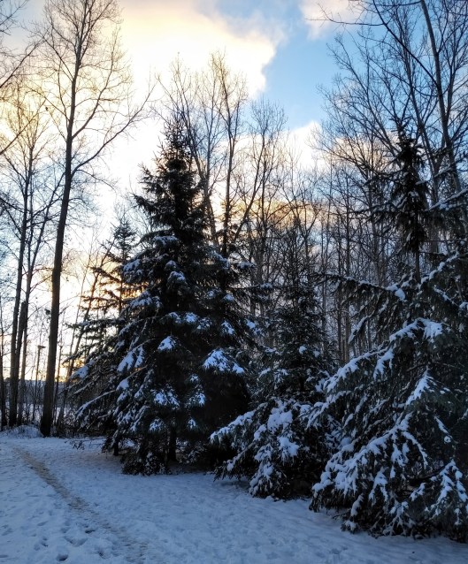 img_20201124_0738385-1