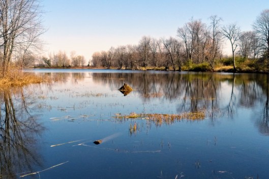 Muskrat lodge 2020-10-31