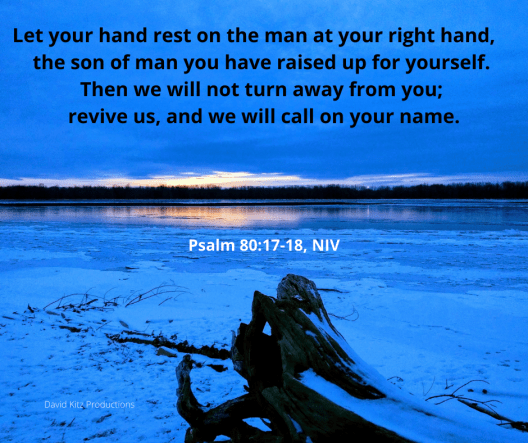Psalm 80_17-18