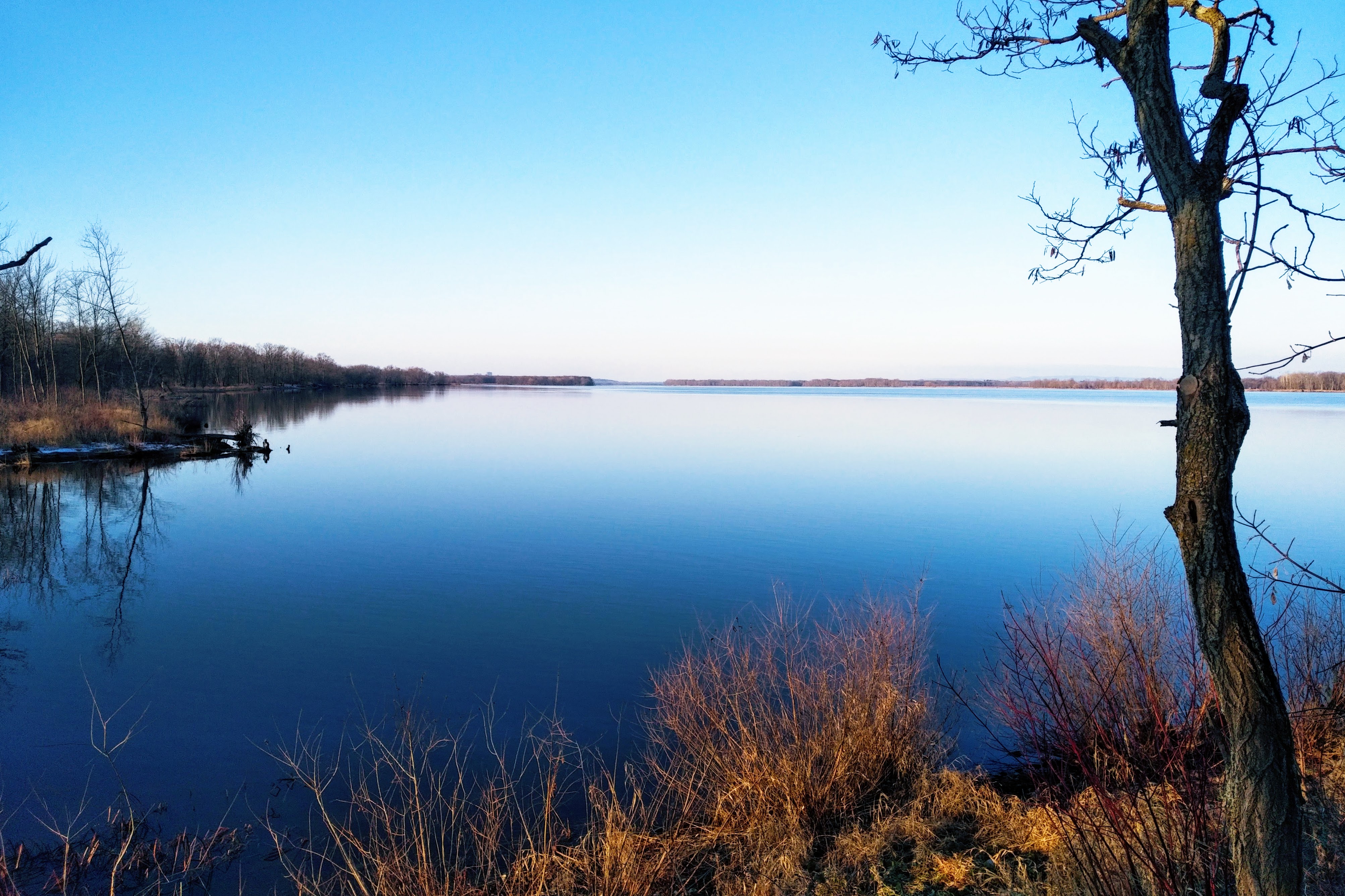 img_20201129_0820086