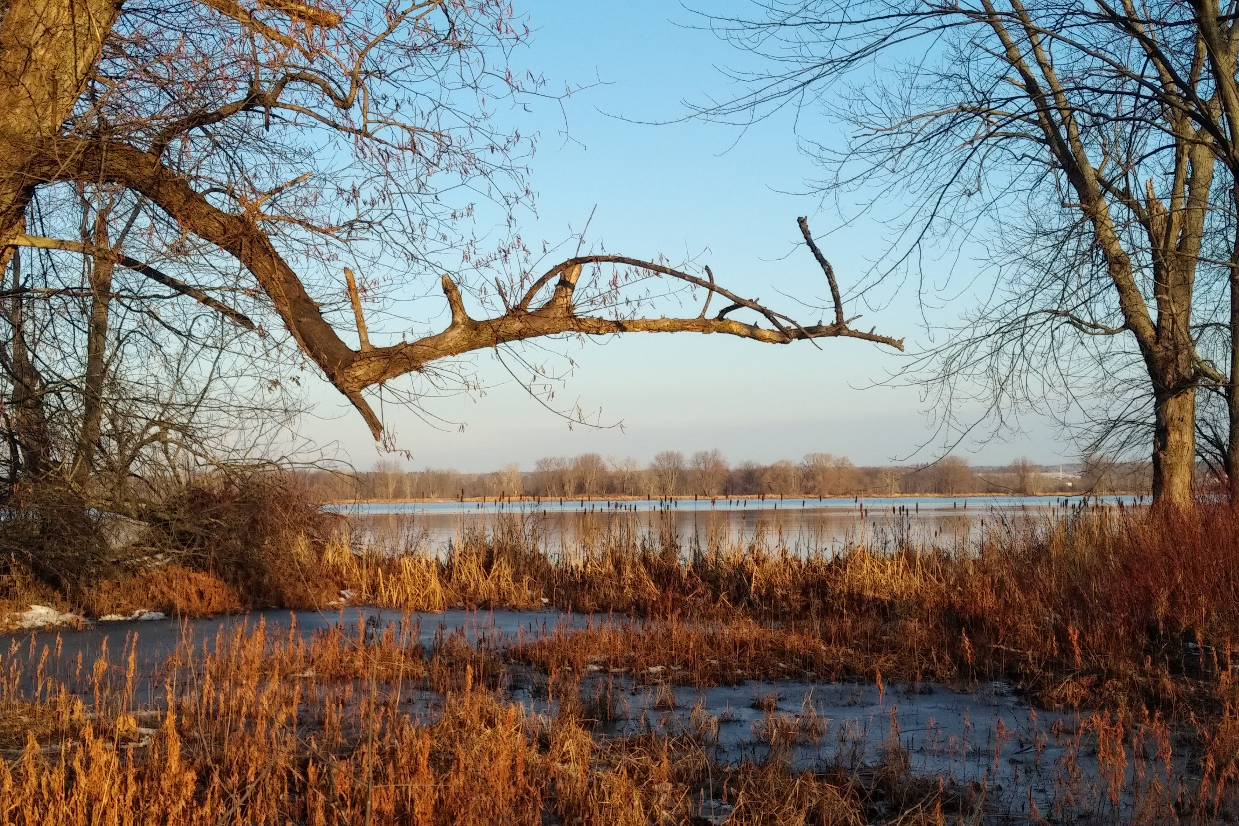 img_20201129_0823482-1