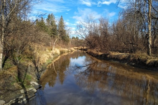 img_20201206_1156498