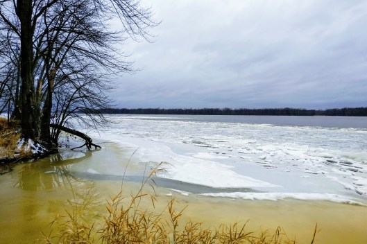 img_20201224_1215384