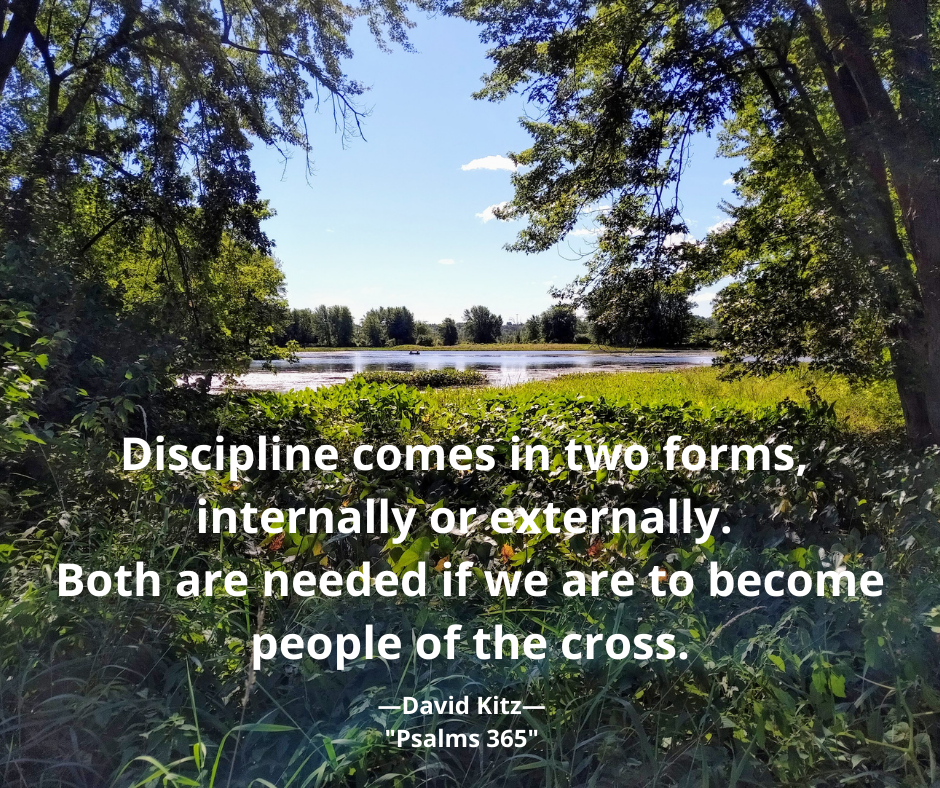 365 Discipline Comes